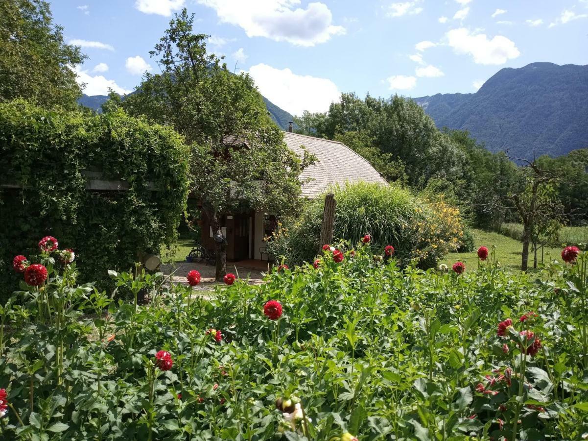Holiday House Zeleni Gaj Бовец Экстерьер фото